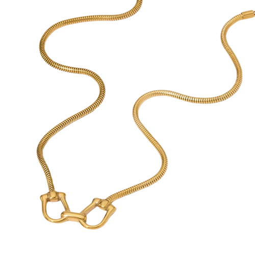 Snake Bit