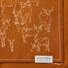 Longhorn Scarf - Silk Twill