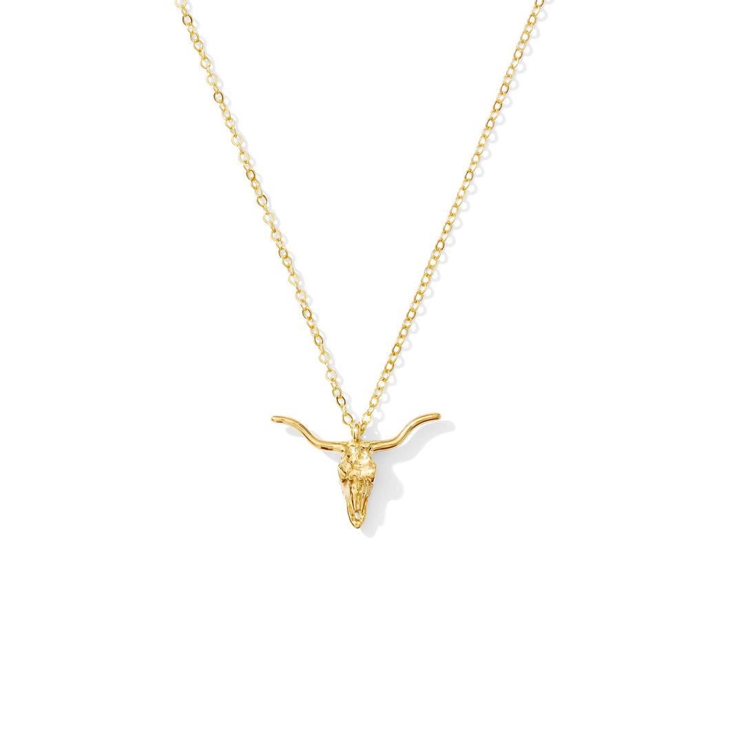 Longhorn Necklace